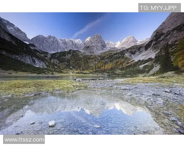 王伟亲授攀岩技巧与心得体会助你轻松征服高峰