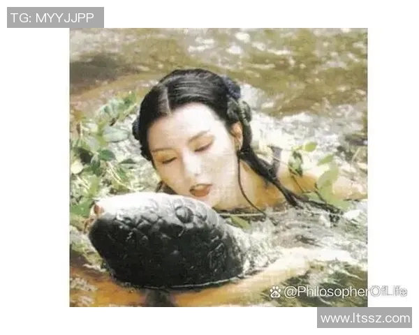 赵敏专访：从青涩小将到网球明星的成长之路与心路历程回顾